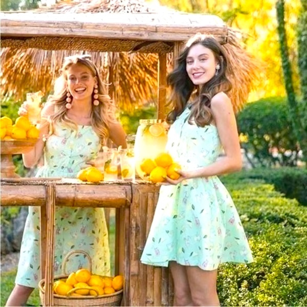 Sarah Patrick / Kiel James Patrick Green Lemonade Print Cotton Poplin Dress Sz 0
